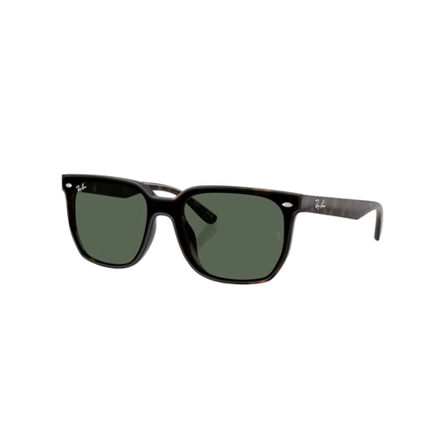 Óculos de Sol Ray-Ban 0RB4466D 710/7147 Nylon Marrom Mesclado com lentes na cor Verde Escuro