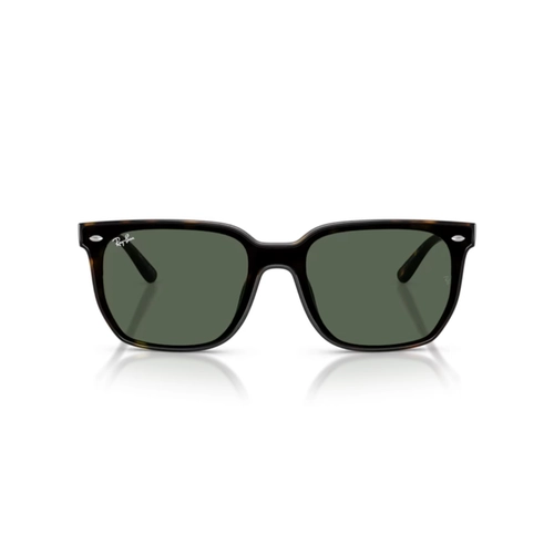 Óculos de Sol Ray-Ban 0RB4466D 710/7147 Nylon Marrom Mesclado com lentes na cor Verde Escuro