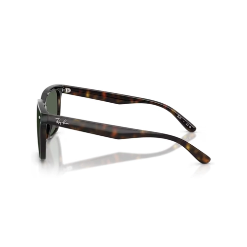 Óculos de Sol Ray-Ban 0RB4466D 710/7147 Nylon Marrom Mesclado com lentes na cor Verde Escuro