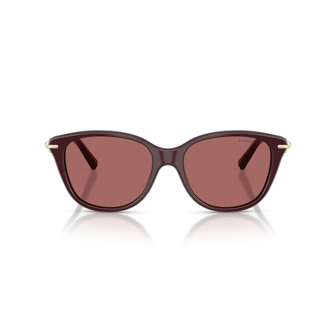 Óculos de Sol Tiffany 0TF4267 84706954 Acetato Vinho com lentes na cor Violeta 2