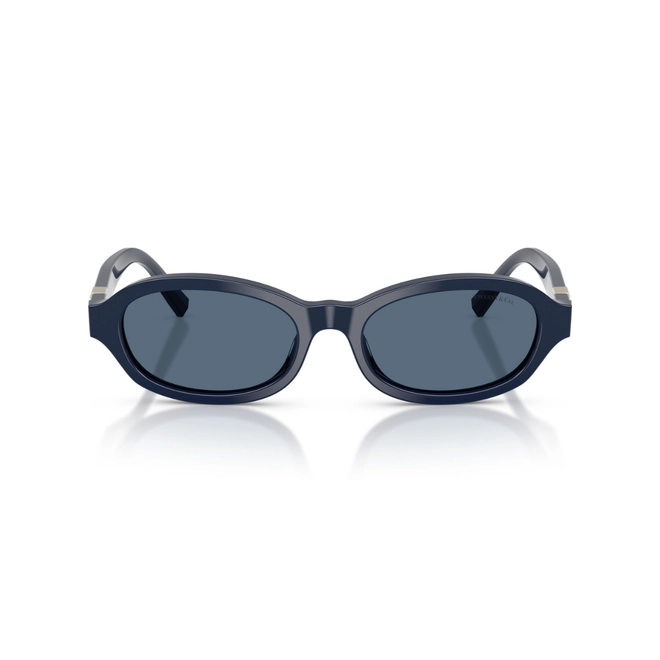 Óculos de Sol Tiffany 0TF4270U 83968052 Acetato Azul Escuro com lentes na cor Azul 2