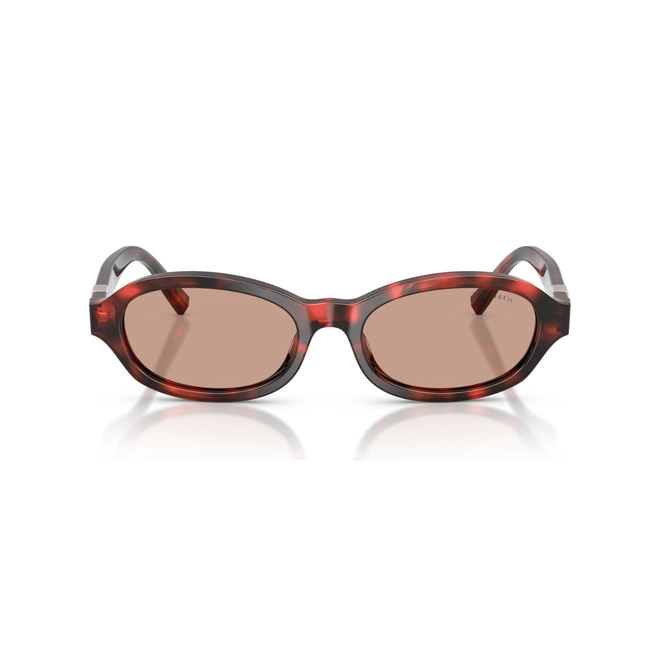 Óculos de Sol Tiffany 0TF4270U 84787352 Acetato Vermelho Mesclado com lentes na cor Marrom 2