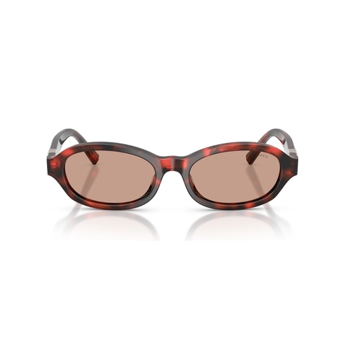 Óculos de Sol Tiffany 0TF4270U 84787352 Acetato Vermelho Mesclado com lentes na cor Marrom