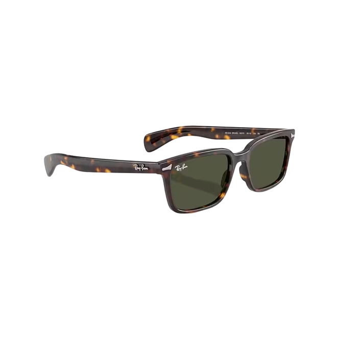 Óculos de Sol Ray-Ban Brunel 0RB2234 902/3156 Propionato Marrom Mesclado com lentes na cor Verde Escuro 3