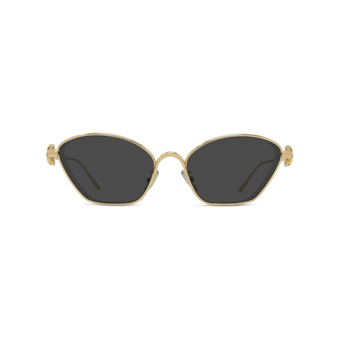 Óculos de Sol Loewe LW40209U_5730A Metal Dourado com lentes na cor Cinza 2