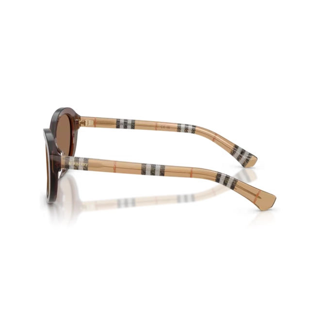 Óculos de Sol Burberry 0BE4507D 42437357 Acetato Marrom Transparente com lentes na cor Marrom 3