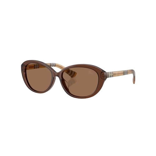 Óculos de Sol Burberry 0BE4507D 42437357 Acetato Marrom Transparente com lentes na cor Marrom