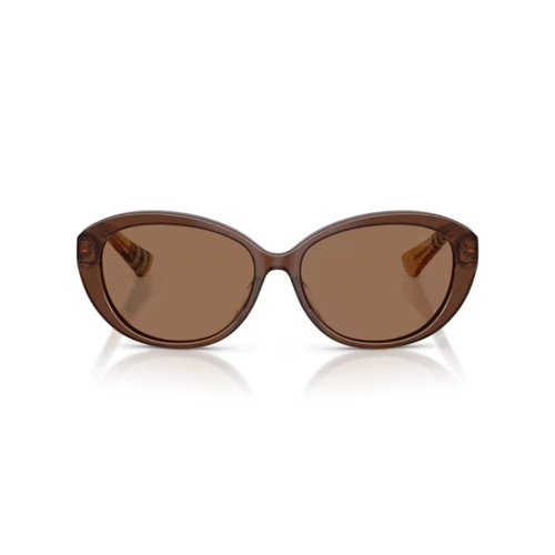 Óculos de Sol Burberry 0BE4507D 42437357 Acetato Marrom Transparente com lentes na cor Marrom