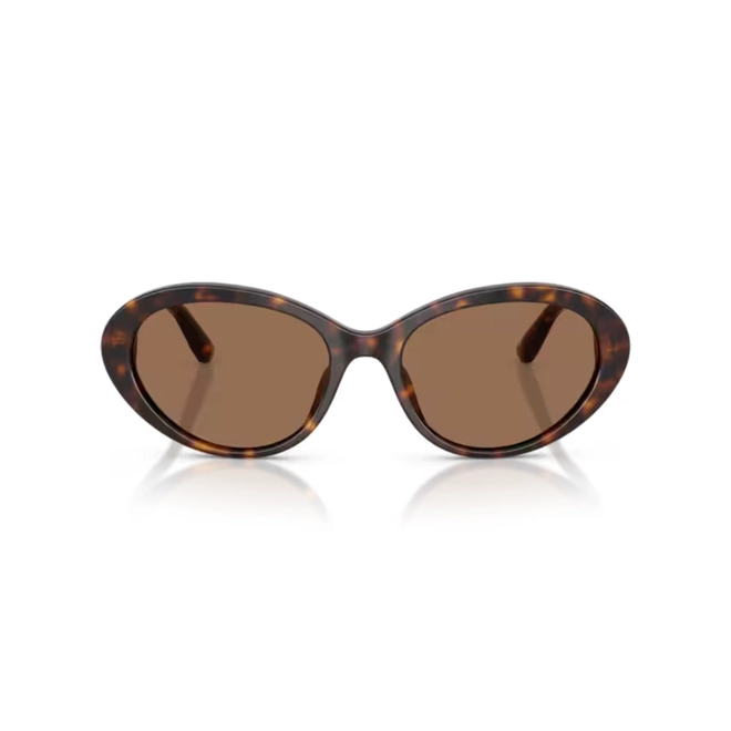 Óculos de Sol Dolce & Gabbana 0DG4570 502/7353 Acetato Marrom Mesclado com lentes na cor Marrom Escuro 2