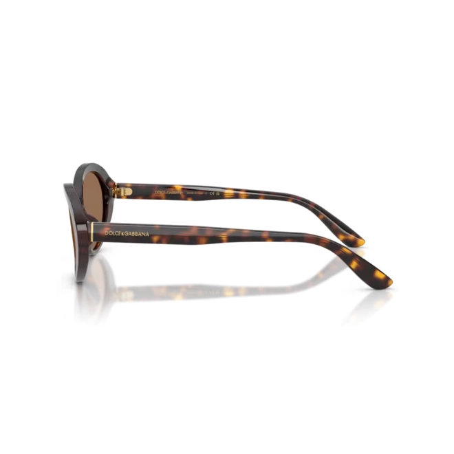 Óculos de Sol Dolce & Gabbana 0DG4570 502/7353 Acetato Marrom Mesclado com lentes na cor Marrom Escuro 3