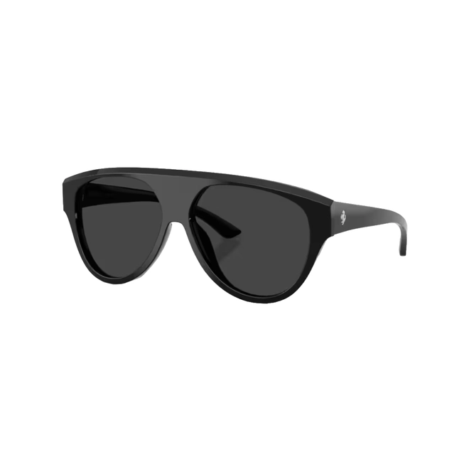 Óculos de Sol Ferrari 0FH2024U 701/4861 Acetato Preto com lentes na cor Fumê Polarizado 1