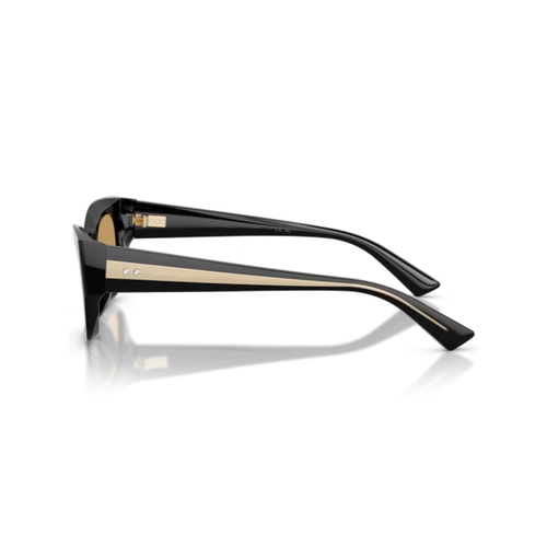 Óculos de Sol Jimmy Choo 0JC5071BU 50007354 Acetato Preto com lentes na cor Marrom