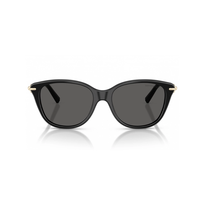 Óculos de Sol Tiffany 0TF4267 8001S454 Acetato Preto com lentes na cor Fumê 2