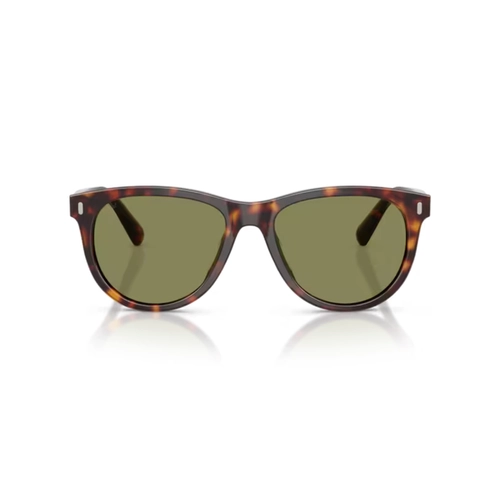 Óculos de Sol Persol 0PO3408S 24/4E 53 Acetato Marrom Mesclado com lentes na cor Verde