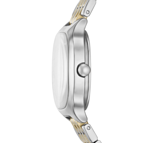 Relógio Skagen Mellem Lille Feminino - SKW3160B1 S1SK Bicolor
