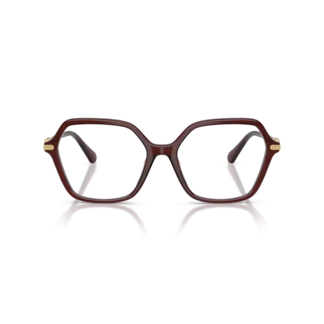 Óculos de Grau Swarovski 0SK2075 1098 56 Acetato Vinho Transparente 2