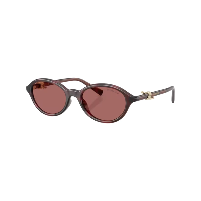 Óculos de Sol Tiffany 0TF4266U 84726951 Acetato Vermelho Mesclado com lentes na cor Violeta 1