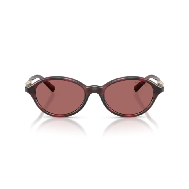 Óculos de Sol Tiffany 0TF4266U 84726951 Acetato Vermelho Mesclado com lentes na cor Violeta 2