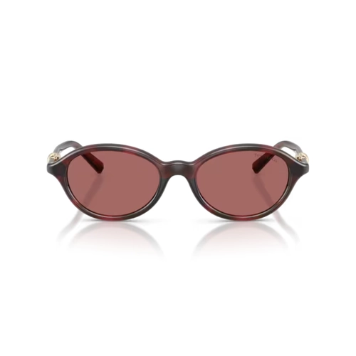 Óculos de Sol Tiffany 0TF4266U 84726951 Acetato Vermelho Mesclado com lentes na cor Violeta