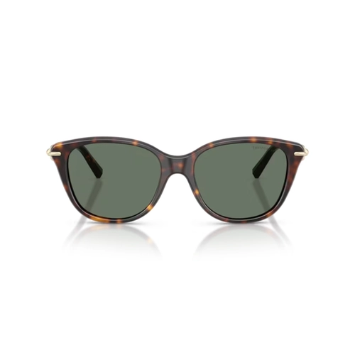 Óculos de Sol Tiffany 0TF4267 80153H54 Acetato Marrom Mesclado com lentes na cor Verde