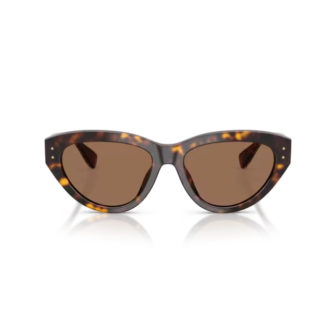 Óculos de Sol Dolce & Gabbana 0DG4558 502/7354 Acetato Marrom Mesclado com lentes na cor Marrom Escuro 2