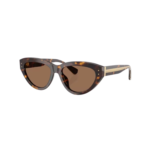 Óculos de Sol Dolce & Gabbana 0DG4558 502/7354 Acetato Marrom Mesclado com lentes na cor Marrom Escuro