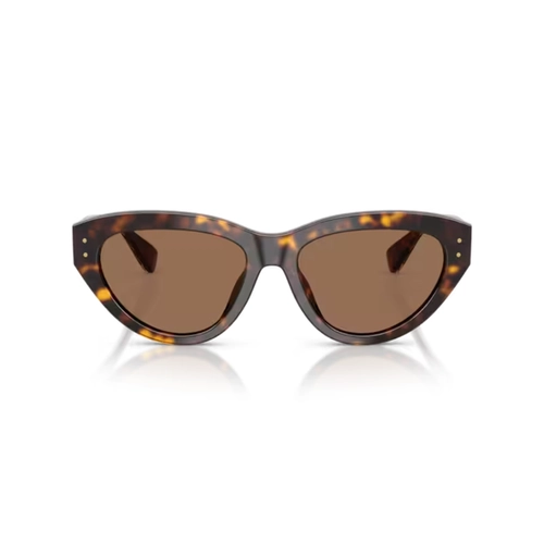 Óculos de Sol Dolce & Gabbana 0DG4558 502/7354 Acetato Marrom Mesclado com lentes na cor Marrom Escuro
