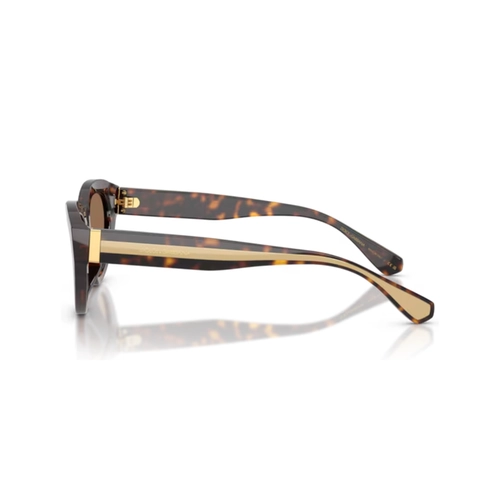 Óculos de Sol Dolce & Gabbana 0DG4558 502/7354 Acetato Marrom Mesclado com lentes na cor Marrom Escuro