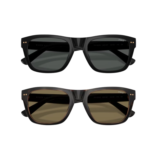 Óculos de Grau Polo Ralph Lauren 0PH4254U 50037353 Nylon Marrom Mesclado com Clip-On nas cores Marrom e Verde 2