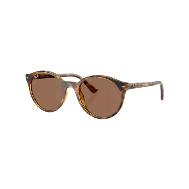 Óculos de Sol Ray-Ban 0RB4481L 710/7352 Propionato Marrom Mesclado Polido com lentes na cor Marrom Escuro 1