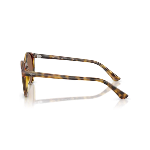 Óculos de Sol Ray-Ban 0RB4481L 710/7352 Propionato Marrom Mesclado Polido com lentes na cor Marrom Escuro
