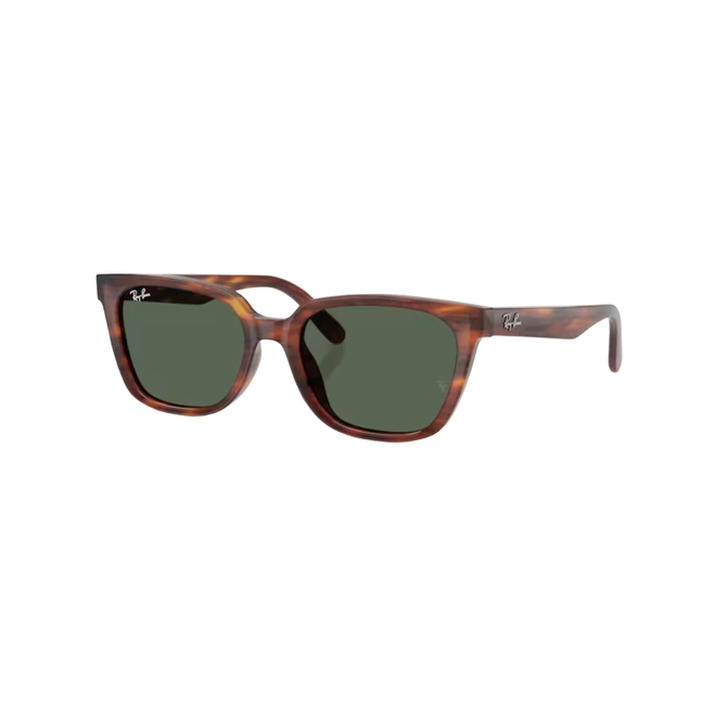 Óculos de Sol Ray-Ban 0RB2243D 954/7155 Acetato Marrom Mesclado Polido com lentes na cor Verde Escuro 1