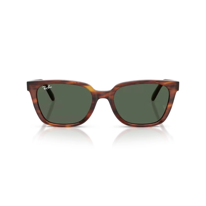 Óculos de Sol Ray-Ban 0RB2243D 954/7155 Acetato Marrom Mesclado Polido com lentes na cor Verde Escuro 2