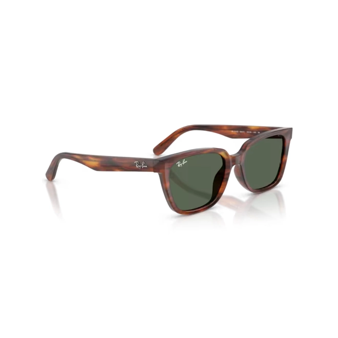 Óculos de Sol Ray-Ban 0RB2243D 954/7155 Acetato Marrom Mesclado Polido com lentes na cor Verde Escuro 3