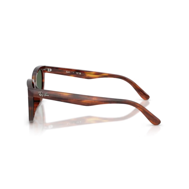 Óculos de Sol Ray-Ban 0RB2243D 954/7155 Acetato Marrom Mesclado Polido com lentes na cor Verde Escuro 4