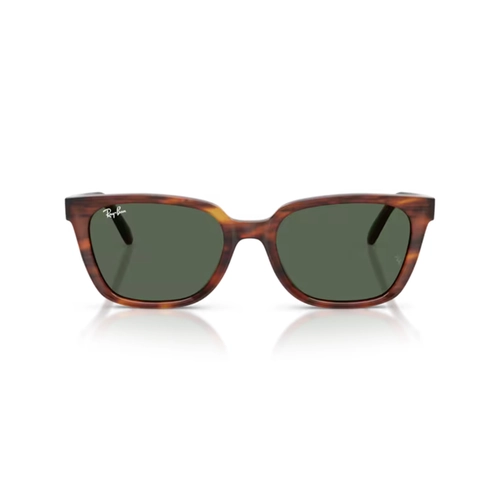 Óculos de Sol Ray-Ban 0RB2243D 954/7155 Acetato Marrom Mesclado Polido com lentes na cor Verde Escuro
