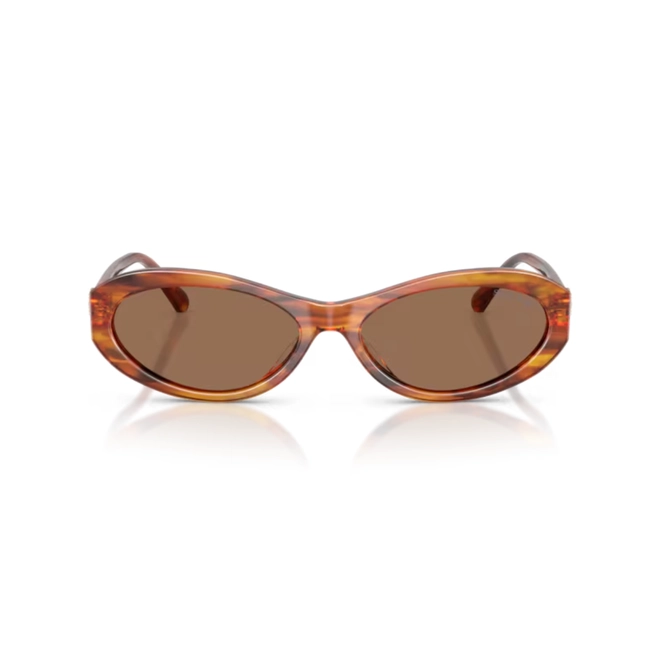 Óculos de Sol Swarovski 0SK6069U 10917356 Acetato Marrom Mesclado com lentes na cor Marrom 2
