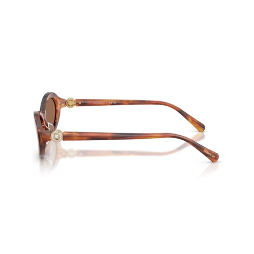 Óculos de Sol Swarovski 0SK6069U 10917356 Acetato Marrom Mesclado com lentes na cor Marrom